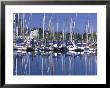 Royal Yacht Club, Vancouver, British Columbia, Canada by Rob Tilley Limited Edition Print