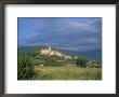 Assisi, Unesco World Heritage Site, Umbria, Italy by Tony Gervis Limited Edition Pricing Art Print