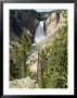 Yellowstone Canyon, Yellowstone National Park, Unesco World Heritage Site, Wyoming, Usa by Ethel Davies Limited Edition Pricing Art Print