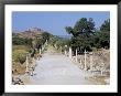 Archaeological Site, Ephesus, Anatolia, Turkey by R H Productions Limited Edition Print