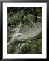 The Theatre, Delphi, Unesco World Heritage Site, Greece by Tony Gervis Limited Edition Print
