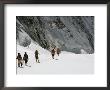 Roped Together, Mount Everest Expedition Members Trek Across A Snowfield by Barry Bishop Limited Edition Print