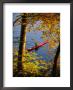 Woman Kayaking With Fall Foliage, Potomac River, Maryland by Skip Brown Limited Edition Print