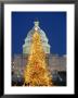 View Of The National Christmas Tree Standing Before The Capitol by Richard Nowitz Limited Edition Print