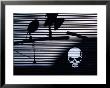 Graffiti And Shadows Of Street Lamps On Garage Shutter Door, Tokyo, Japan by Martin Moos Limited Edition Pricing Art Print