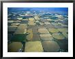 Overhead Of Fields Marked By Irrigation Circles, San Luis Valley, Usa by Jim Wark Limited Edition Print