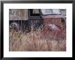 An Abandoned Old Truck Sits In A Field Of Autumn Colored Grasses by Roy Gumpel Limited Edition Print