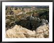 Overhead Of Rock Formations From Sheep Mountain Table, Sw Badlands, Badlands National Park, U.S.A. by Mark Newman Limited Edition Print