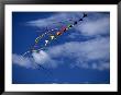 Tandem Kites by Bob Burch Limited Edition Pricing Art Print