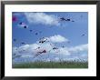 Kites Flying Along The Coastline, International Kite Festival, Long Beach, Washington, Usa by John & Lisa Merrill Limited Edition Print