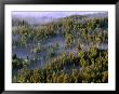 Fog Shrouding Pine Forests In Jackson Hole Valley Region, Grand Teton National Park, Wyoming, Usa by Stephen Saks Limited Edition Print