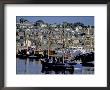 Harbor Of Penzance, Cornwall, England by Nik Wheeler Limited Edition Print