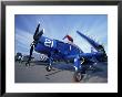 Wwii Era Fighter Planes On Display For Veteran's Day, Washington, Usa by William Sutton Limited Edition Print