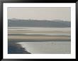 Australian Pelican Dwarfed By Tidal Mud Flat by Jason Edwards Limited Edition Print