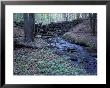 Banks Of Lamprey River, National Wild And Scenic River, New Hampshire, Usa by Jerry & Marcy Monkman Limited Edition Print