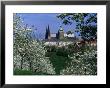 Prague Castle And Cherry Blossoms Of Petrin Hill, Prague, Czech Republic by Richard Nebesky Limited Edition Print