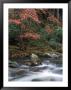 Little River, Great Smoky Mountain National Park, Tn by Jack Hoehn Jr. Limited Edition Print