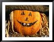 Halloween Face On Scarecrow, Rockies Region Creston, British Columbia, Canada by Barnett Ross Limited Edition Print