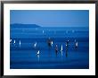 Sailing Boats In Bay, Brest, France by Jean-Bernard Carillet Limited Edition Print