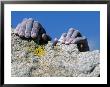Hands Holding Onto Cliff, Djin Needle, Ca by Greg Epperson Limited Edition Print