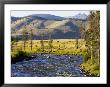 Salmon River Near Stanley, Idaho, Usa by Chuck Haney Limited Edition Print