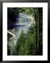 Tahquamenon Falls, Tahquamenon Falls State Park, Michigan, Usa by Claudia Adams Limited Edition Print