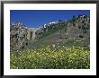 Wildflowers In El Tajo Gorge And Punte Nuevo, Ronda, Spain by John & Lisa Merrill Limited Edition Print
