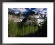 Wheeler Peak And Trees, Great Basin National Park, Nevada, Usa by Stephen Saks Limited Edition Print
