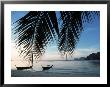Beach Scene, Khoh Phi Phi, Thailand by Jacob Halaska Limited Edition Pricing Art Print