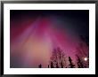 Curtains Of Colorful Northern Lights Above Fairbanks, Alaska, Usa by Hugh Rose Limited Edition Pricing Art Print