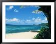The North Shore Of Oahu by Bill Romerhaus Limited Edition Print