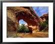 Hiker Underneath Coyote Natural Bridge, Coyote Gulch Hike, Glen Canyon National Recreation Area by John Elk Iii Limited Edition Print