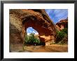 Hiker Underneath Coyote Natural Bridge, Coyote Gulch Hike, Glen Canyon National Recreation Area by John Elk Iii Limited Edition Print