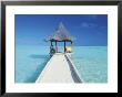 Maldives, Pier And Ocean by Peter Adams Limited Edition Print