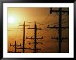 Power Lines At Dusk, Australia by Peter Hendrie Limited Edition Print