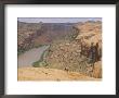 Mountain Bikers On Slickrock Trail Overlooking The Colorado River by Rich Reid Limited Edition Print