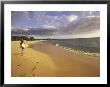 Young Man Walking On Makena Beach At Sunset, Maui, Hawaii, Usa by Darrell Gulin Limited Edition Print