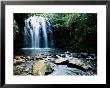 Millaa Millaa Falls, Atherton Tablelands, Queensland, Australia by Holger Leue Limited Edition Print
