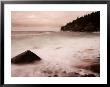 Pebble Beach Along Ocean Drive, Acadia National Park, Maine, Usa by Joanne Wells Limited Edition Print