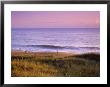 People Along Outer Banks, North Carolina by Manrico Mirabelli Limited Edition Pricing Art Print