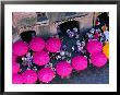 Umbrellas Of Cafe, Innsbruck, Austria by Chris Mellor Limited Edition Print