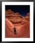 Eroded Sandstone Formation, Colorado National Monument, Colorado, Usa by Mark Newman Limited Edition Print