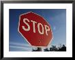 A Red Stop Sign Against A Blue Sky by Stephen St. John Limited Edition Pricing Art Print