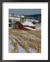 Corn Stubble And Barn In A Wintery Pennsylvania Landscape by Raymond Gehman Limited Edition Print