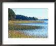 Salt Marsh Bordering The Royal River, Maine, Usa by Jerry & Marcy Monkman Limited Edition Print