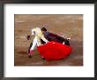 Matador At Monumental El Paso, Bullfight (Fiesta Brava), San Luis Potosi, Mexico by Russell Gordon Limited Edition Print