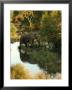 African Elephant - Kruger National Park, South Africa by Keith Levit Limited Edition Print