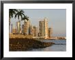 Skyline Of Highrise Apartments In Punta Paitilla, Panama City, Panama by Paul Kennedy Limited Edition Print