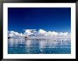 Wooden Jetty Extending Off Kadidiri Island, Togian Islands, Sulawesi by Jay Sturdevant Limited Edition Print