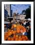 Pumpkins For Sale At Farmers' Market On Union Square, New York City, New York, Usa by Angus Oborn Limited Edition Print